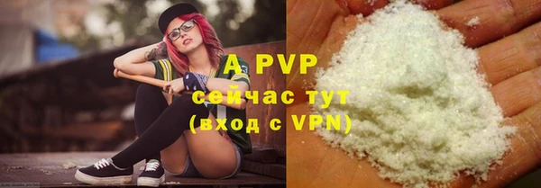 прущие крисы Абаза