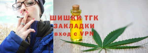прущие крисы Абаза