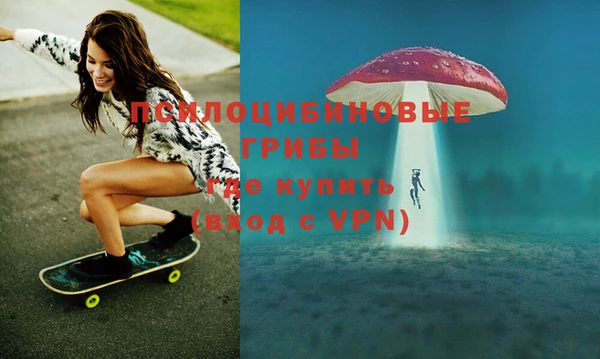 прущие крисы Абаза