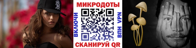 сайты даркнета какой сайт Кимовск Галлюциногенные грибы Psilocybine cubensis
